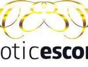 Escort Agency Ct