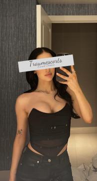 Diana - Escort lady Munich 9