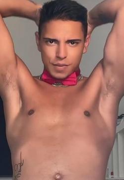 Alex - Escort gays Vienna 1